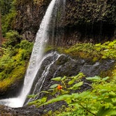Review photo of Silver Falls State Park Campground by J O., July 10, 2022