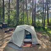 Review photo of Gold Lake 4x4 Campground by Sienna L., July 10, 2022