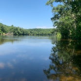 Review photo of Branch Pond — James River State Park by Gary G., July 10, 2022