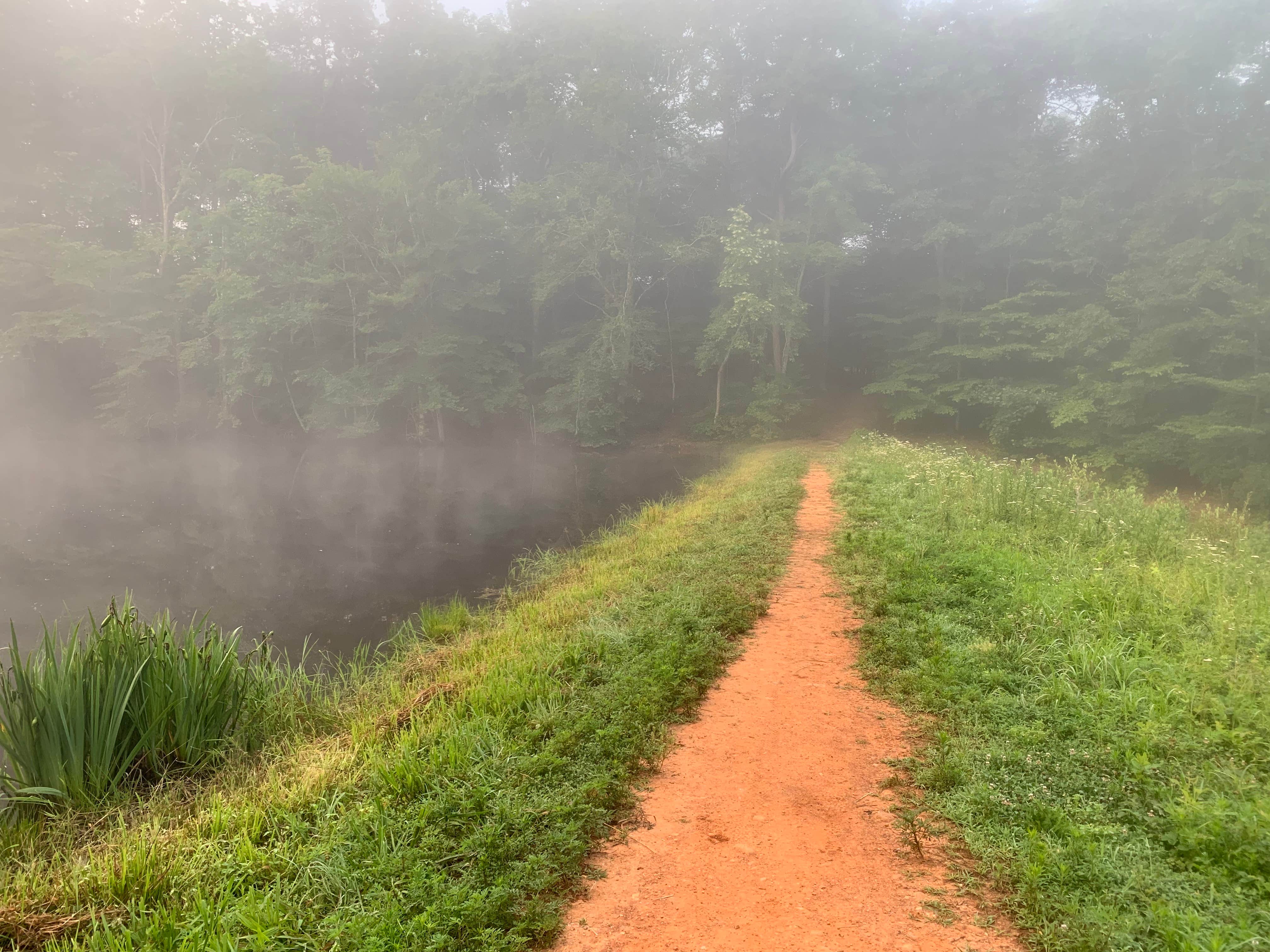 Camper submitted image from Branch Pond — James River State Park - 4