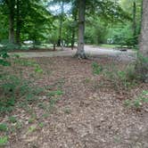 Review photo of Branch Pond — James River State Park by Gary G., July 10, 2022