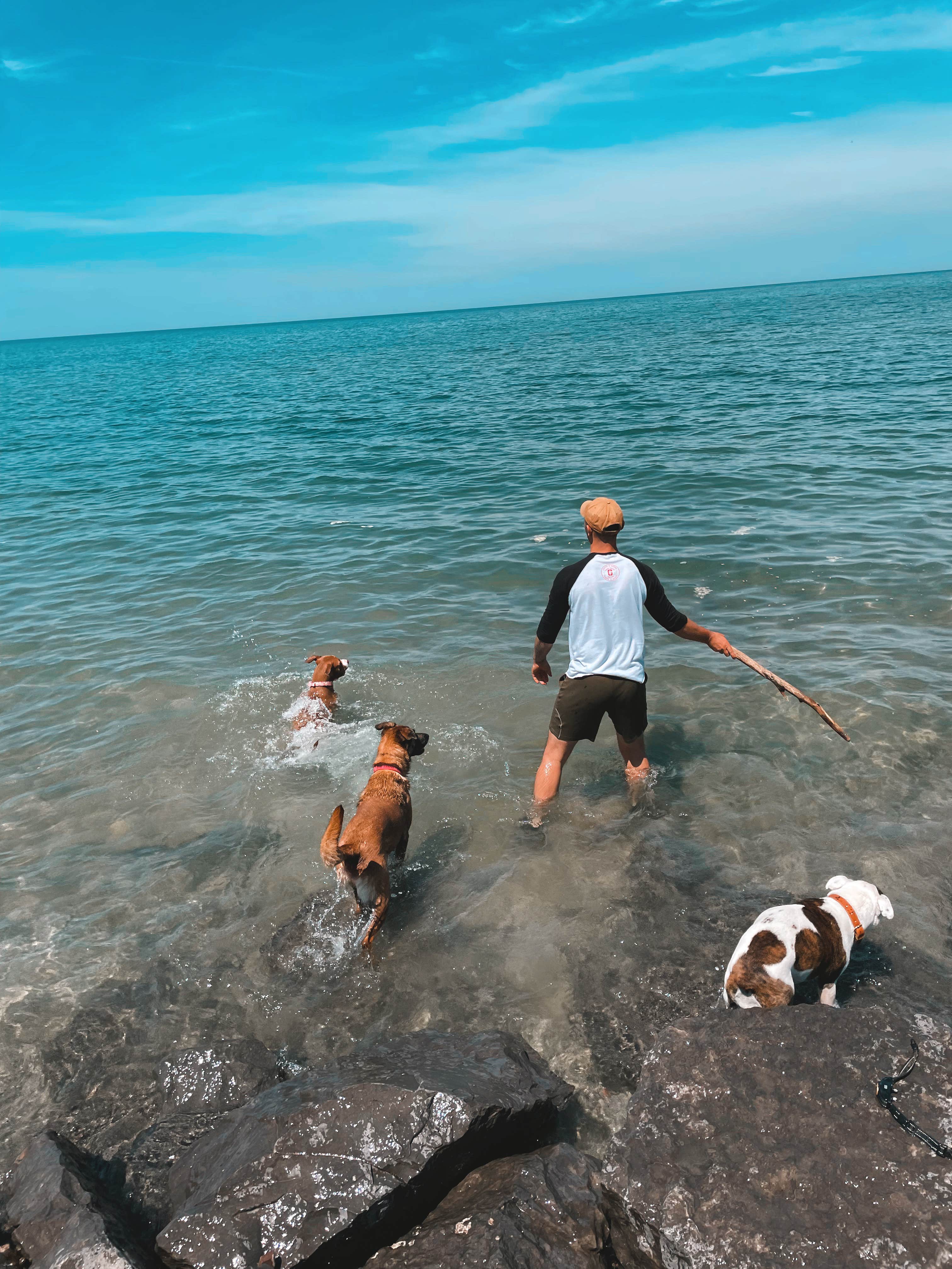 Bella S.'s photo of camping with pets at Hamlin Beach State Park Campground near Hilton, NY
