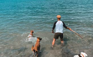 Bella S.'s photo of camping with pets at Hamlin Beach State Park Campground near Oakfield, NY