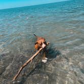 Review photo of Hamlin Beach State Park by Bella S., July 10, 2022