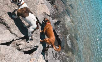 Bella S.'s photo of camping with pets at Hamlin Beach State Park Campground near Caledonia, NY