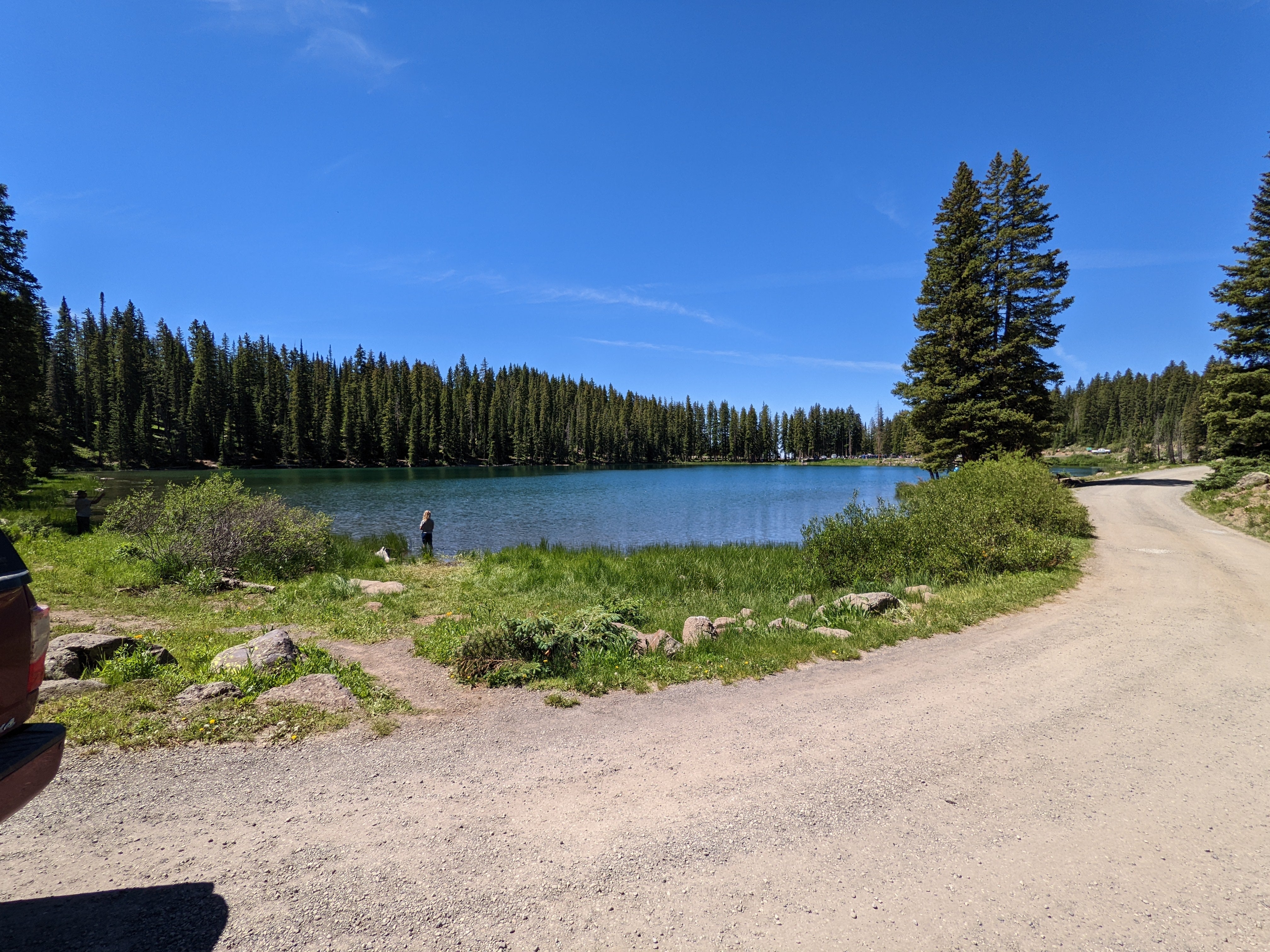Camper submitted image from Cobbett Lake - 3