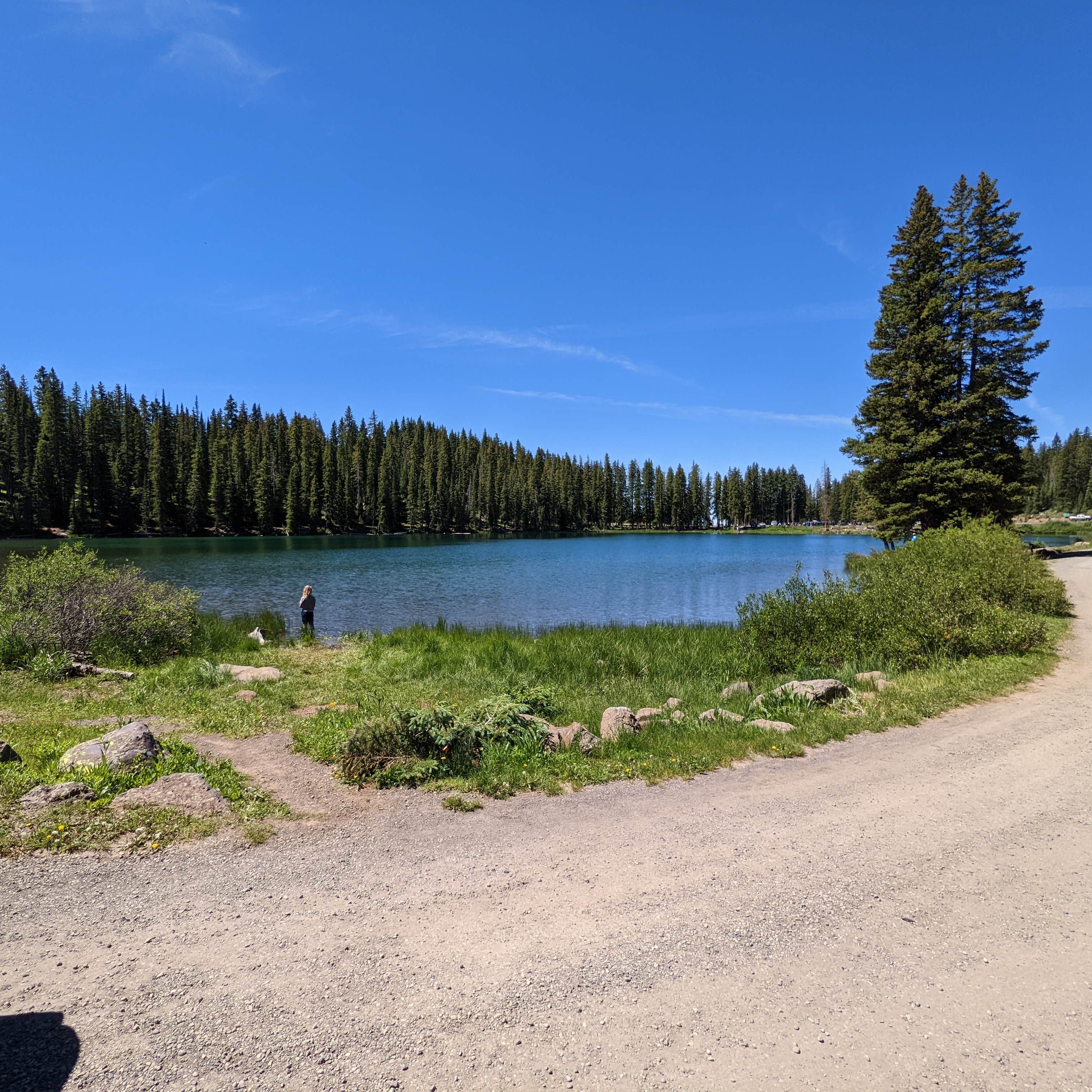 Escape To The Wild: Your Guide To Colorado’s Cobbett Campground