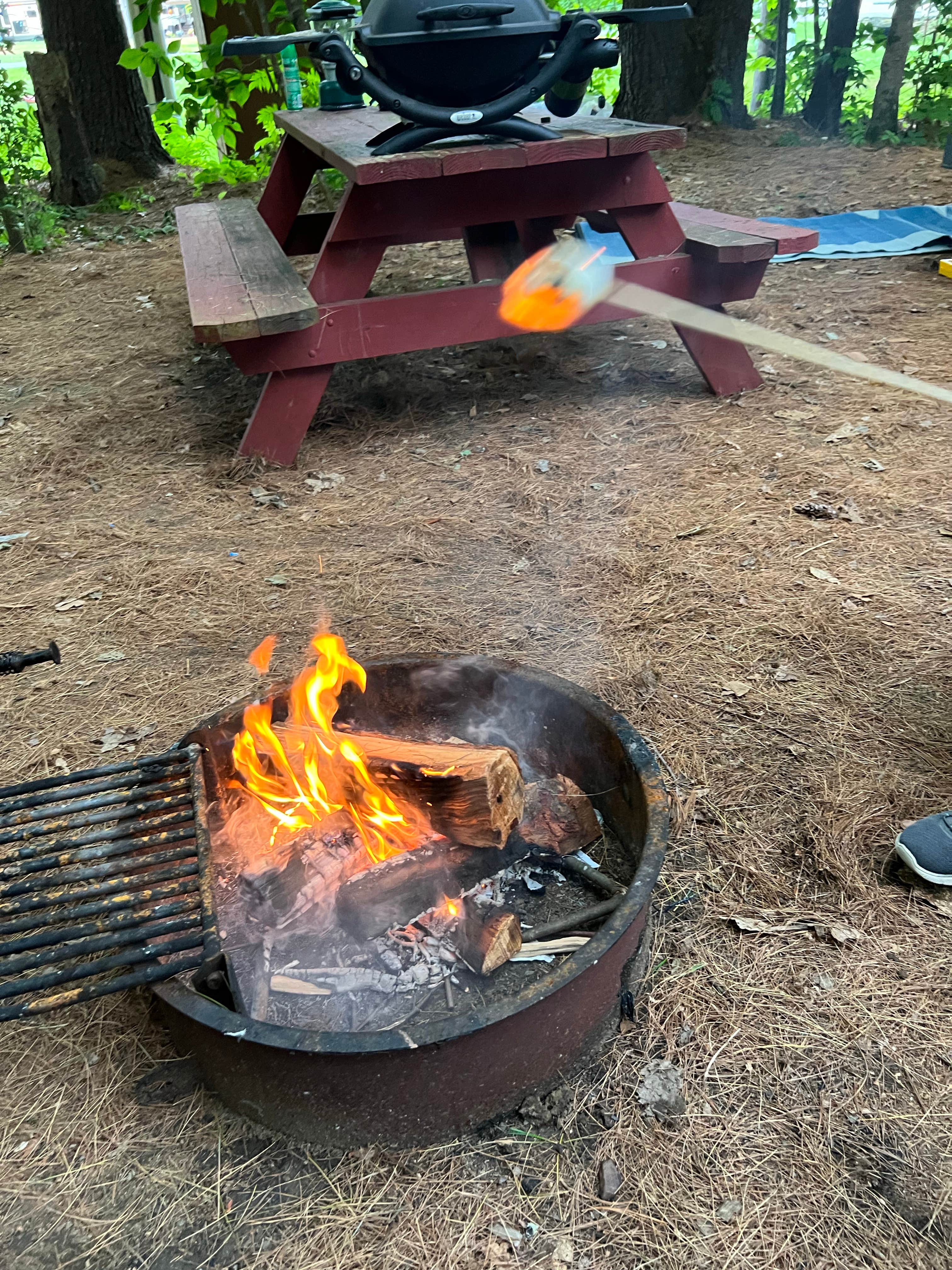 Camper-submitted photo at Country Aire Campgrounds near Whately, MA