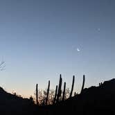 Review photo of Ajo BLM Dispersed by Haley S., July 10, 2022