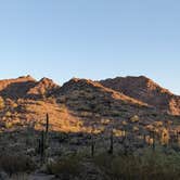 Review photo of Ajo BLM Dispersed by Haley S., July 10, 2022