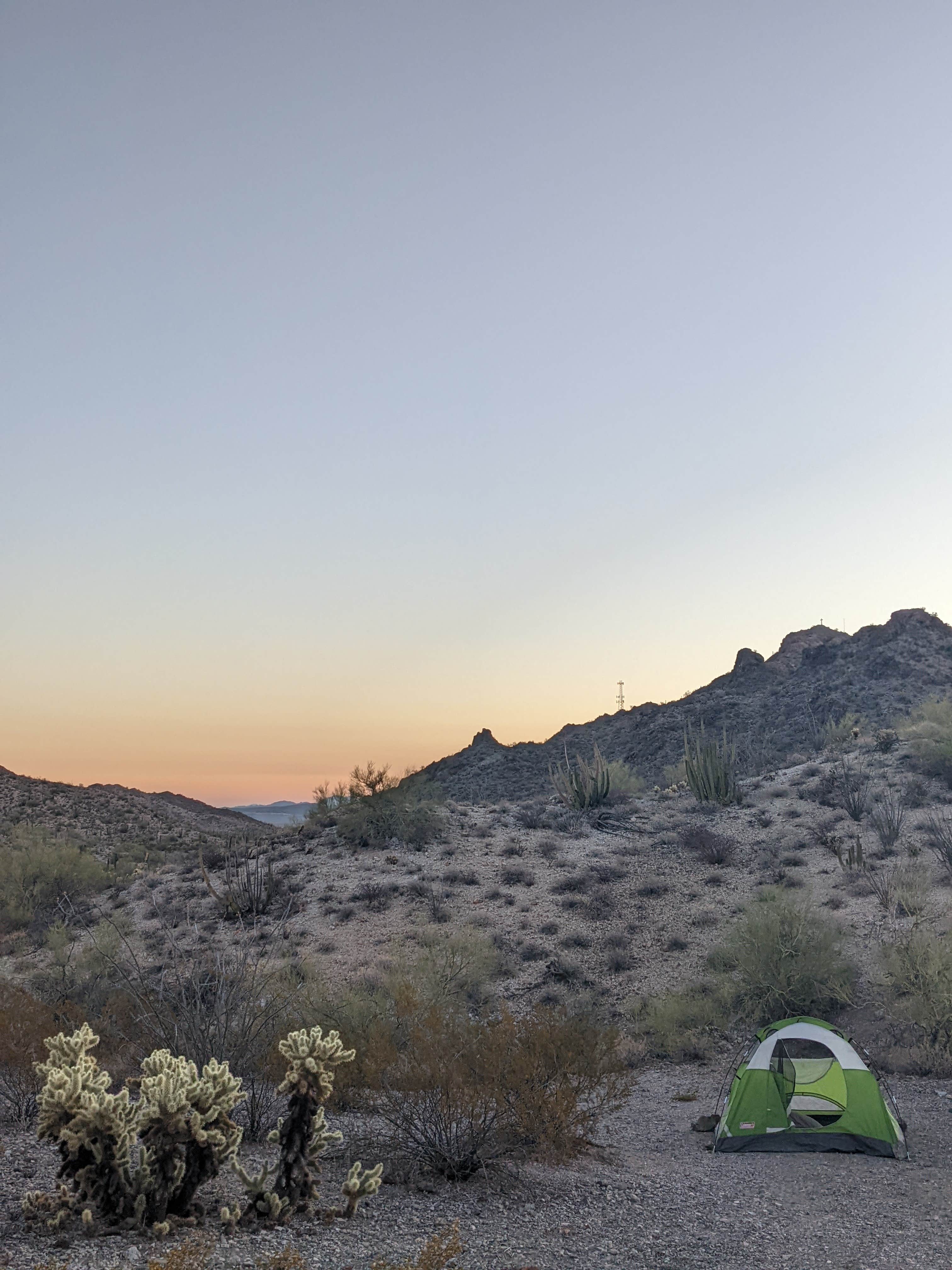 Haley S.'s photo of a dispersed camping area at Ajo BLM Dispersed near Ajo, AZ