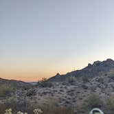 Review photo of Ajo BLM Dispersed by Haley S., July 10, 2022