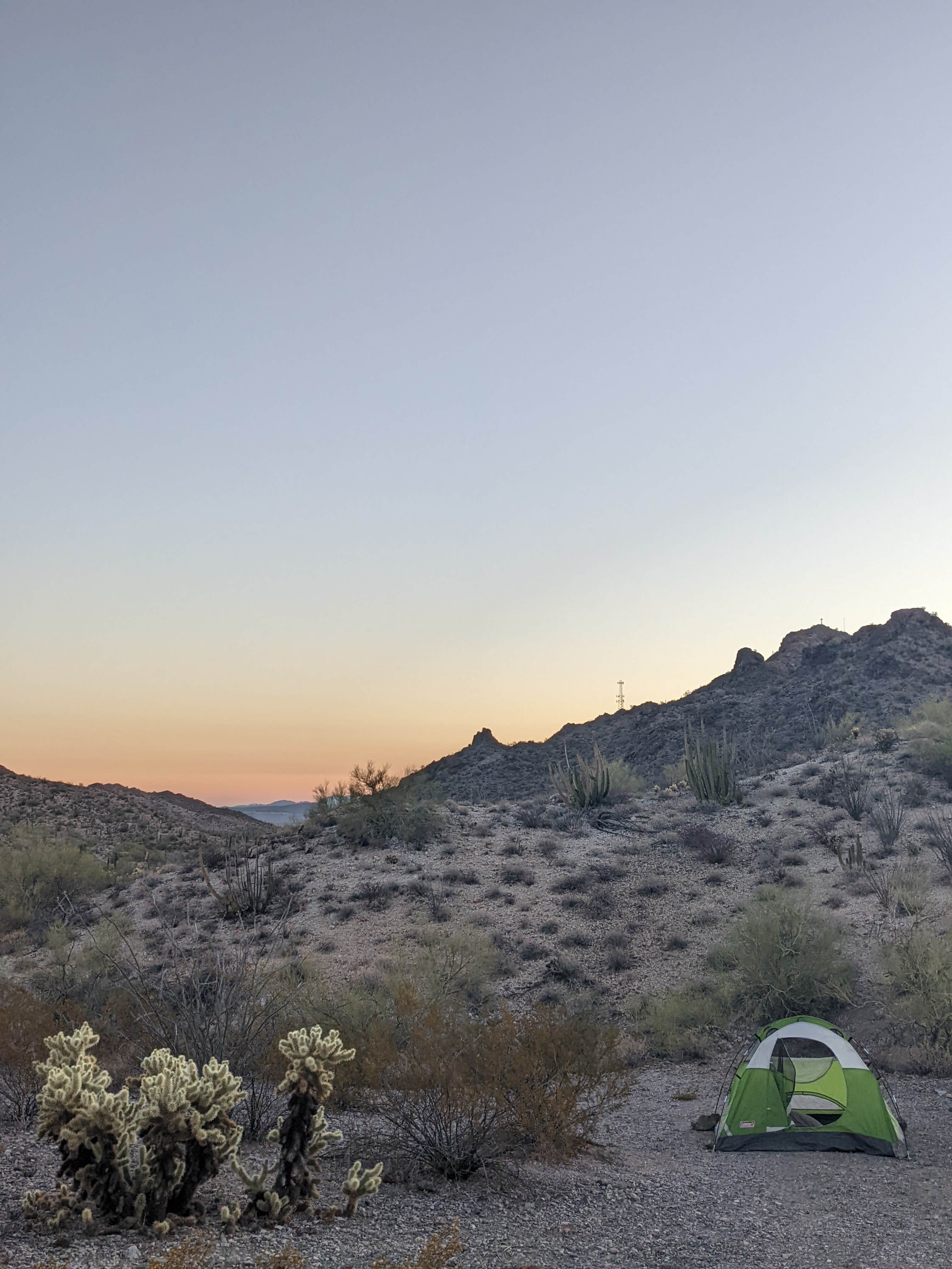 Camper submitted image from Ajo BLM Dispersed - 4