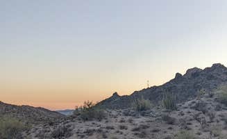 Haley S.'s photo at Ajo BLM Dispersed near Lukeville, AZ