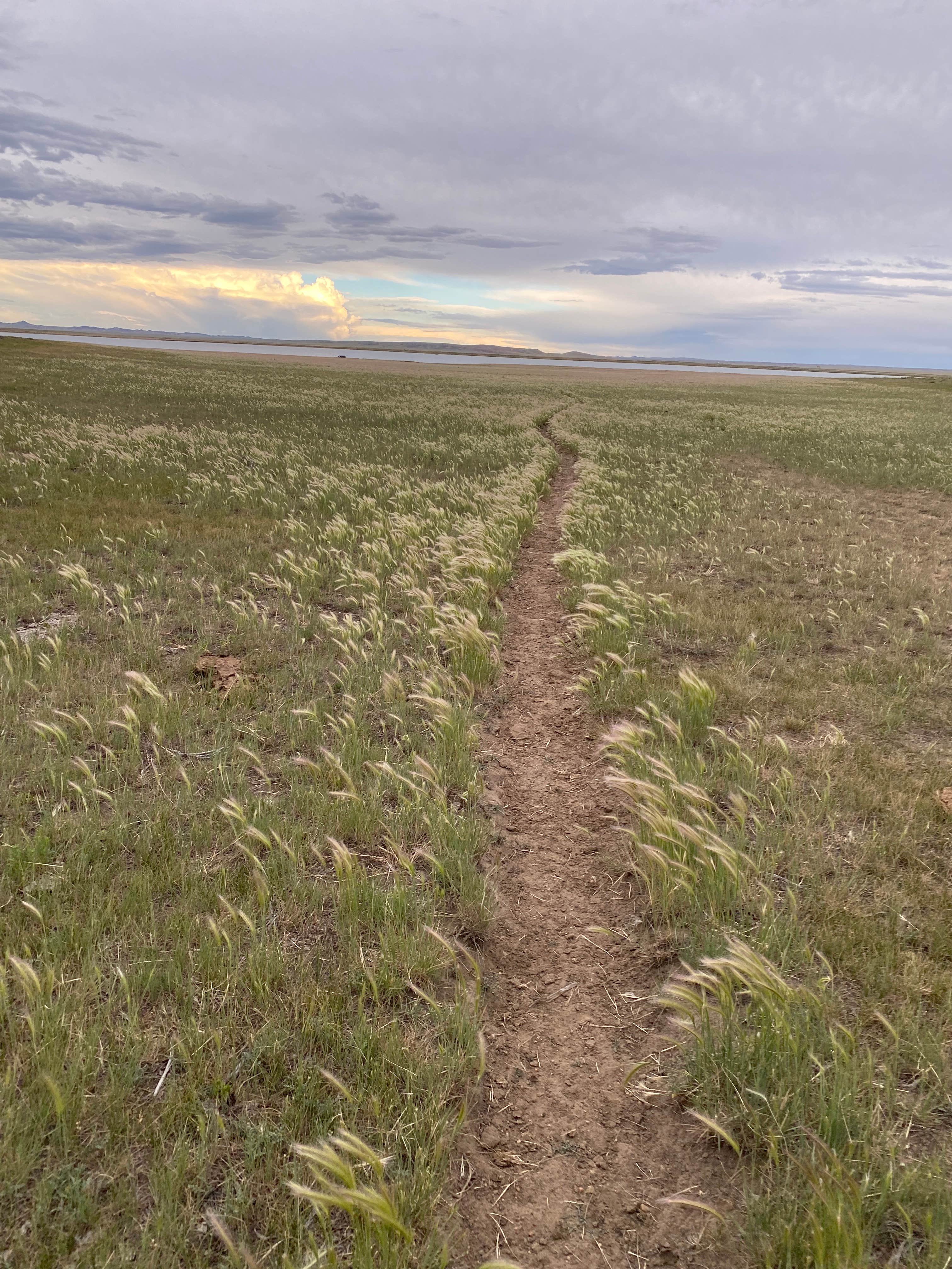 Camper-submitted photo at Wheatland Reservoir #3 near Laramie, WY