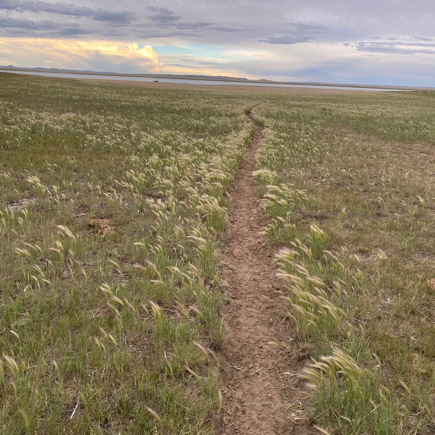 Wheatland Reservoir 3 Camping The Dyrt