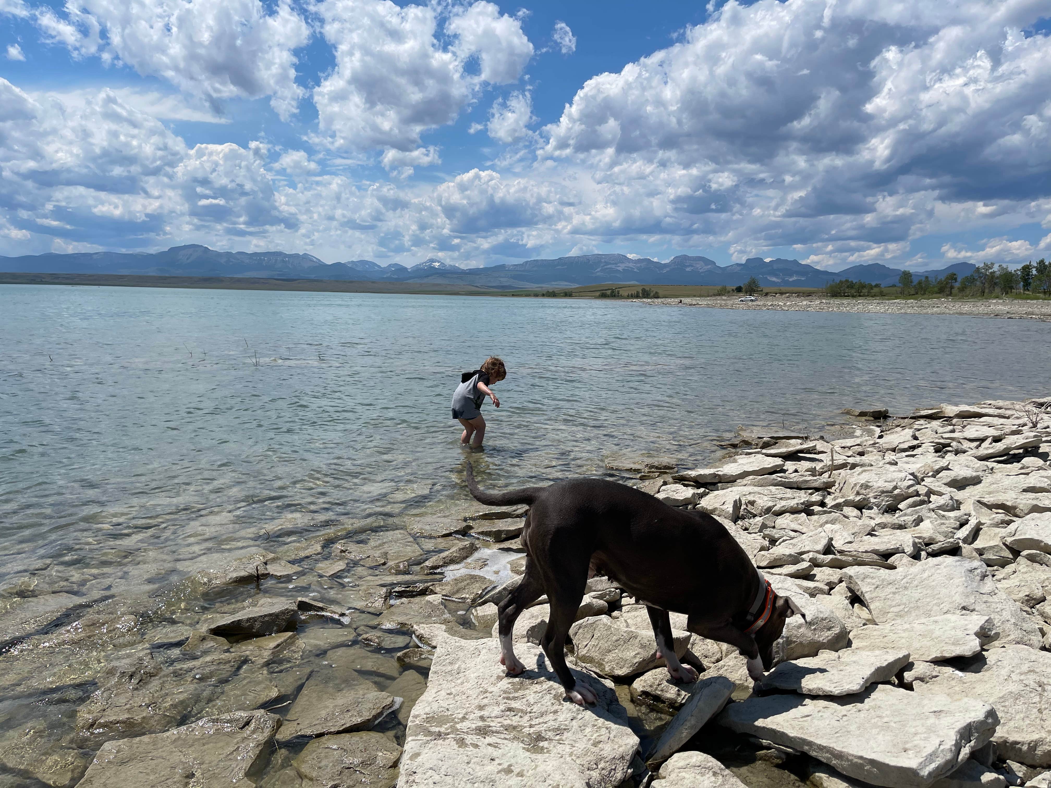 Camper submitted image from Bynum Reservoir - 4