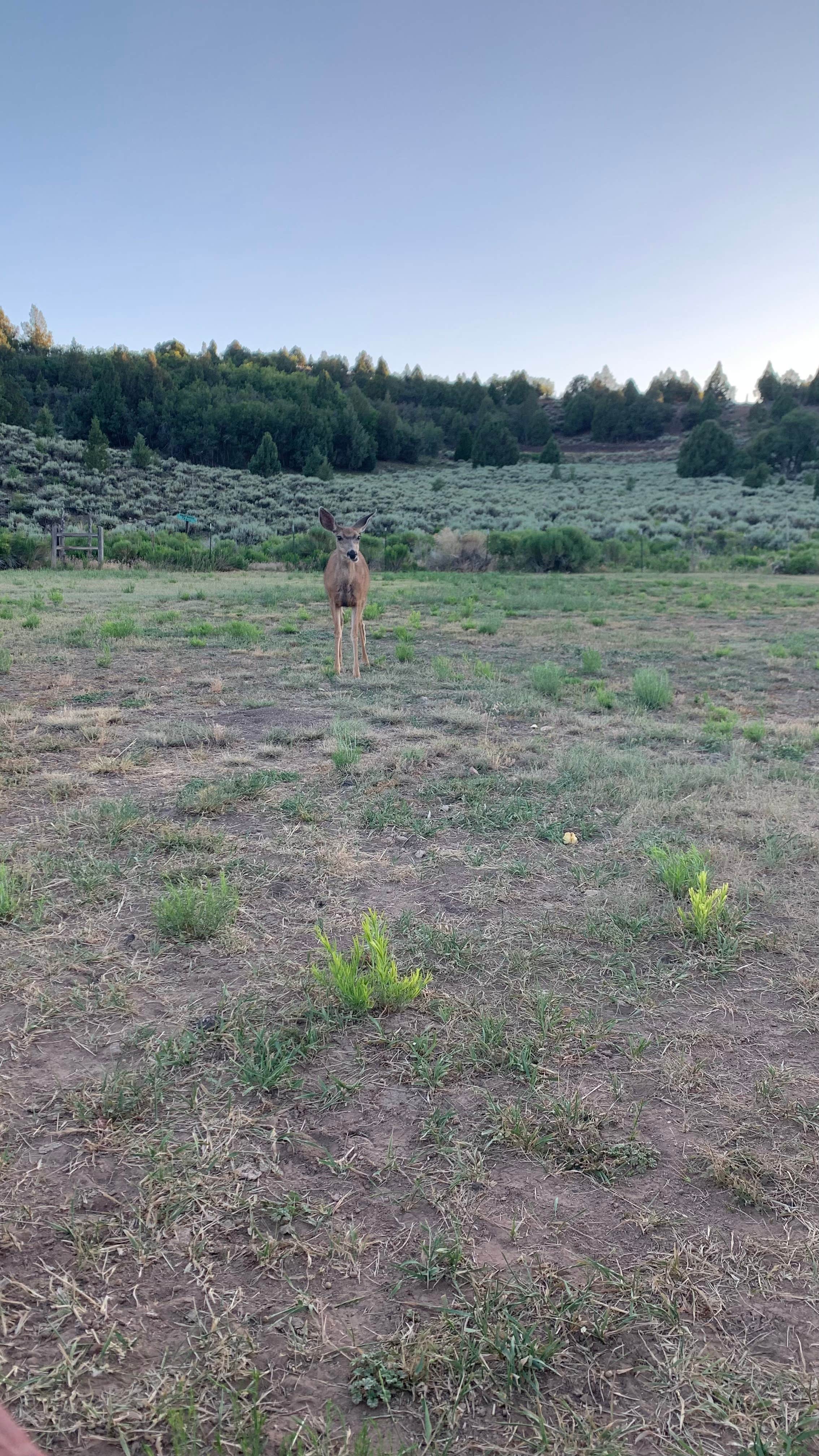 Camper-submitted photo at Camp Lutherwood of Utah near Bryce Canyon National Park