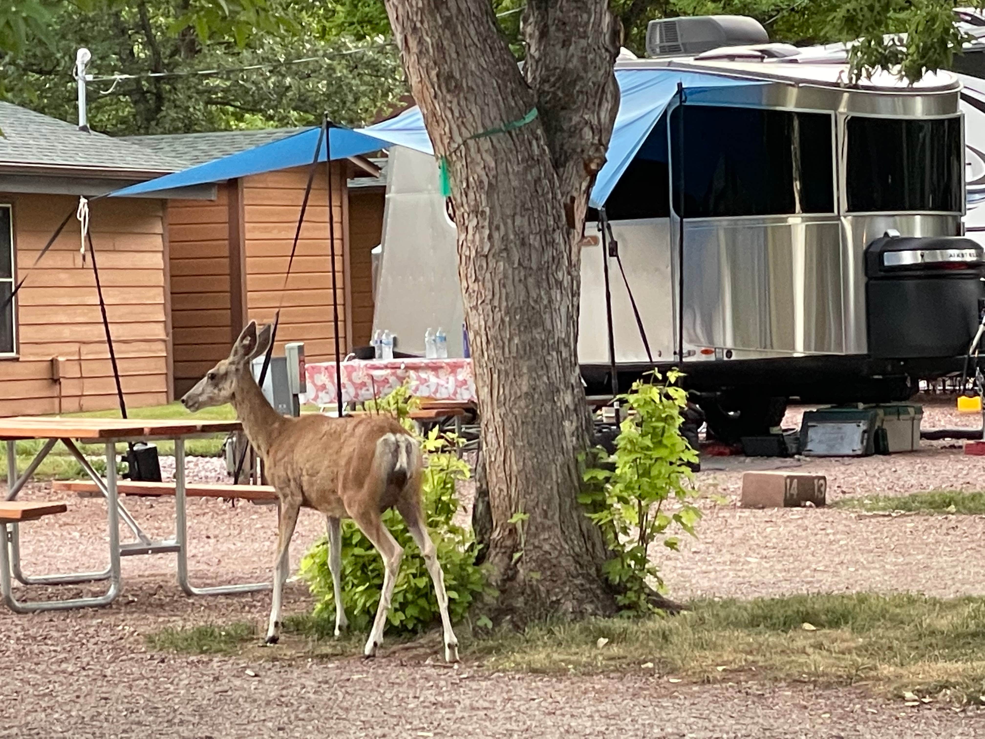 Camper-submitted photo at Lake Park Campground near Rapid City, SD