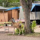 Review photo of Lake Park Campground by Tim A S., July 10, 2022