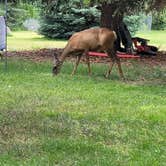 Review photo of Pearrygin Lake State Park Campground by Jamie A., July 10, 2022