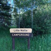 Review photo of Little Mattie Campground — White River National Forest by Erik S., July 10, 2022
