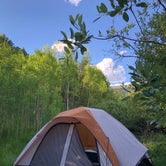 Review photo of Little Mattie Campground by Erik S., July 10, 2022