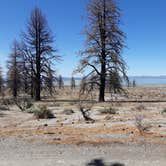 Review photo of Mono Lake South Dispersed by Steve L., July 10, 2022