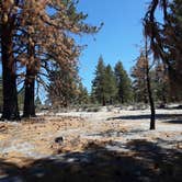 Review photo of Mono Lake South Dispersed by Steve L., July 10, 2022