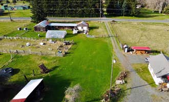 Camping near Lake Crescent Lodge — Olympic National Park: High Hopes Farm , Joyce, Washington