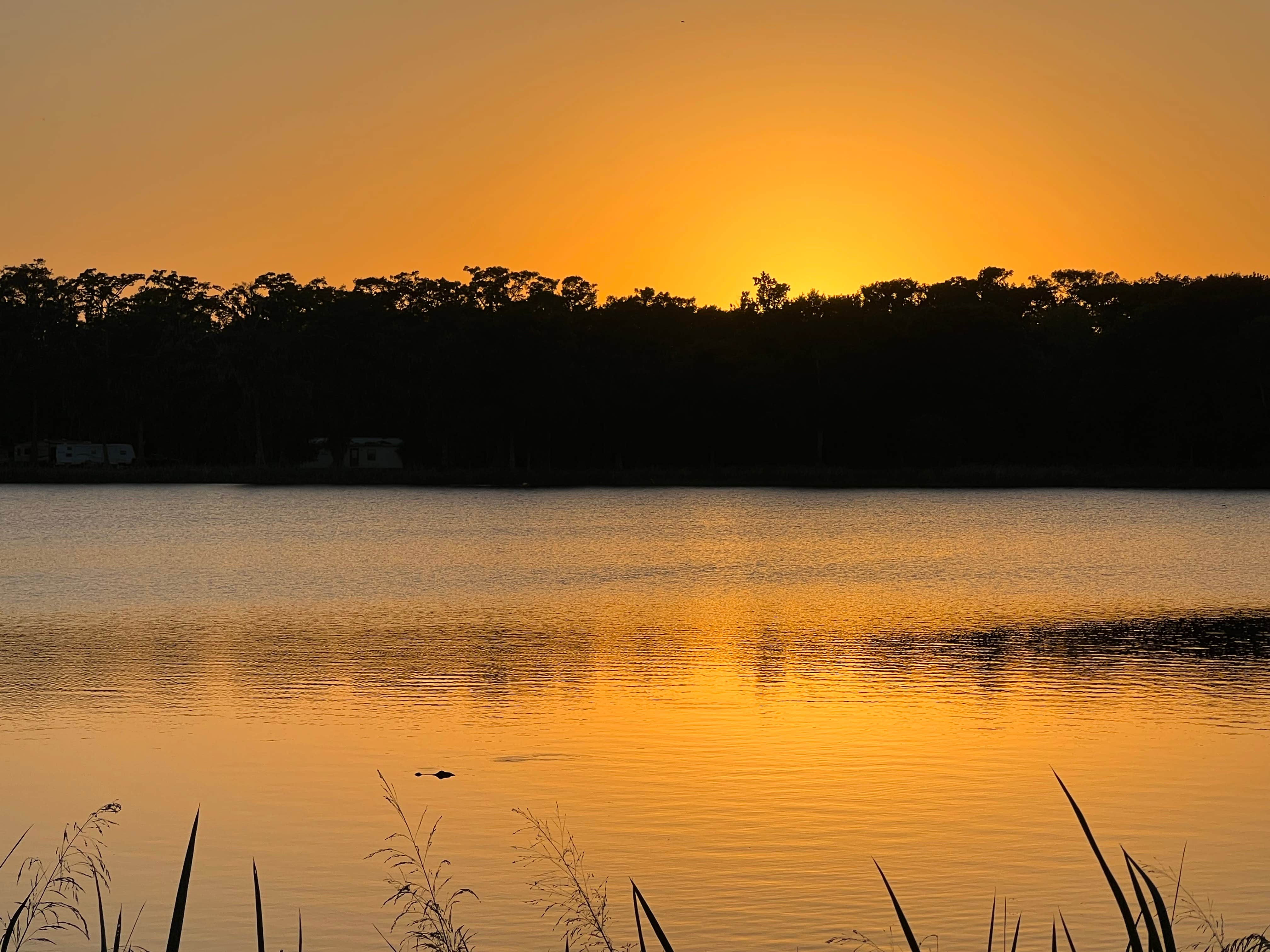 Camper submitted image from Cypress Lake RV Resort - 1