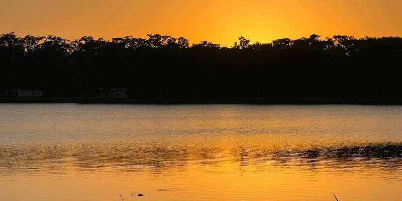 Camper submitted image from Cypress Lake RV Resort