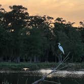 Review photo of Cypress Lake RV Resort by John L., July 10, 2022