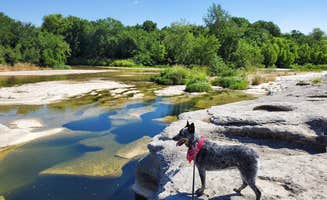 Denise V.'s photo of camping with pets at McKinney Falls State Park Campground near Pflugerville, TX