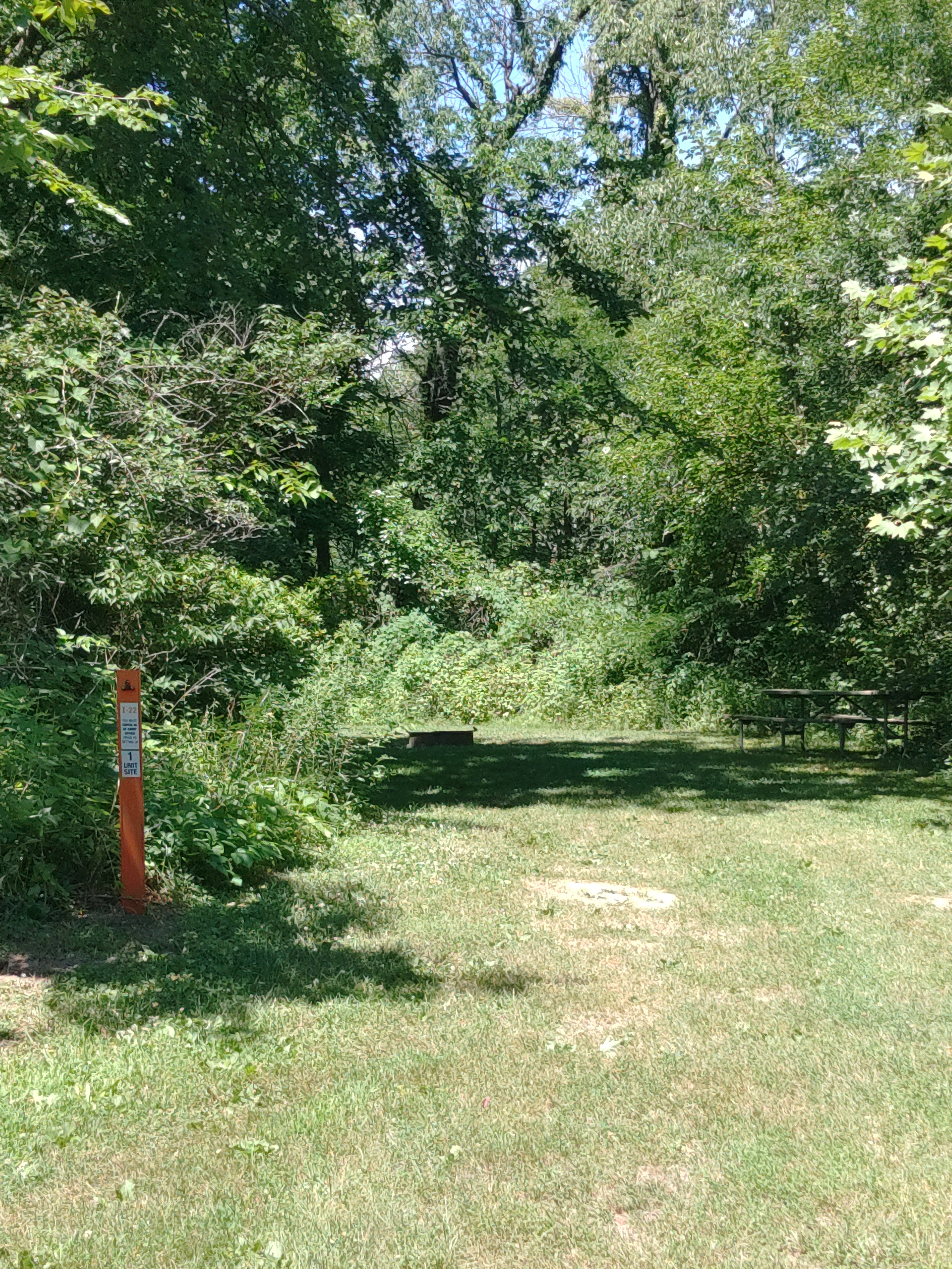 Camper submitted image from Indian Meadows Campground - Loud Thunder Forest Preserve - 1