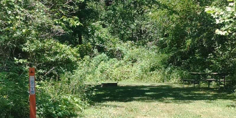 Camper submitted image from Indian Meadows Campground - Loud Thunder Forest Preserve