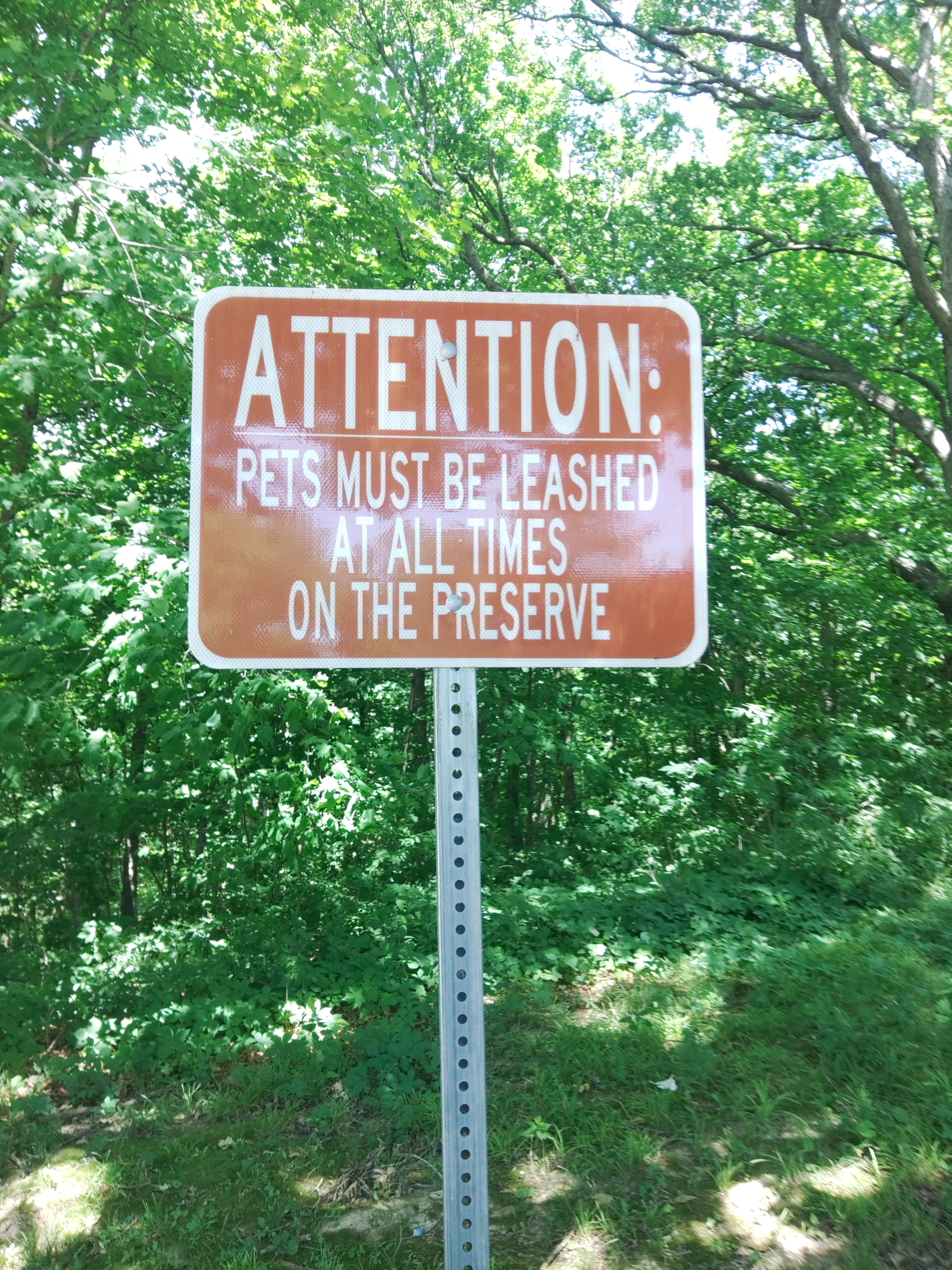 Camper-submitted photo at Indian Meadows Campground - Loud Thunder Forest Preserve near West Liberty, IA