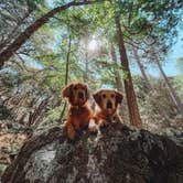 Review photo of Sequoia National Park Dispersed campground by Kristina W., July 10, 2022