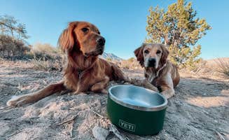 Kristina W.'s photo of camping with pets at Lovell Canyon Dispersed Camping (Spring Mountain) in Nevada