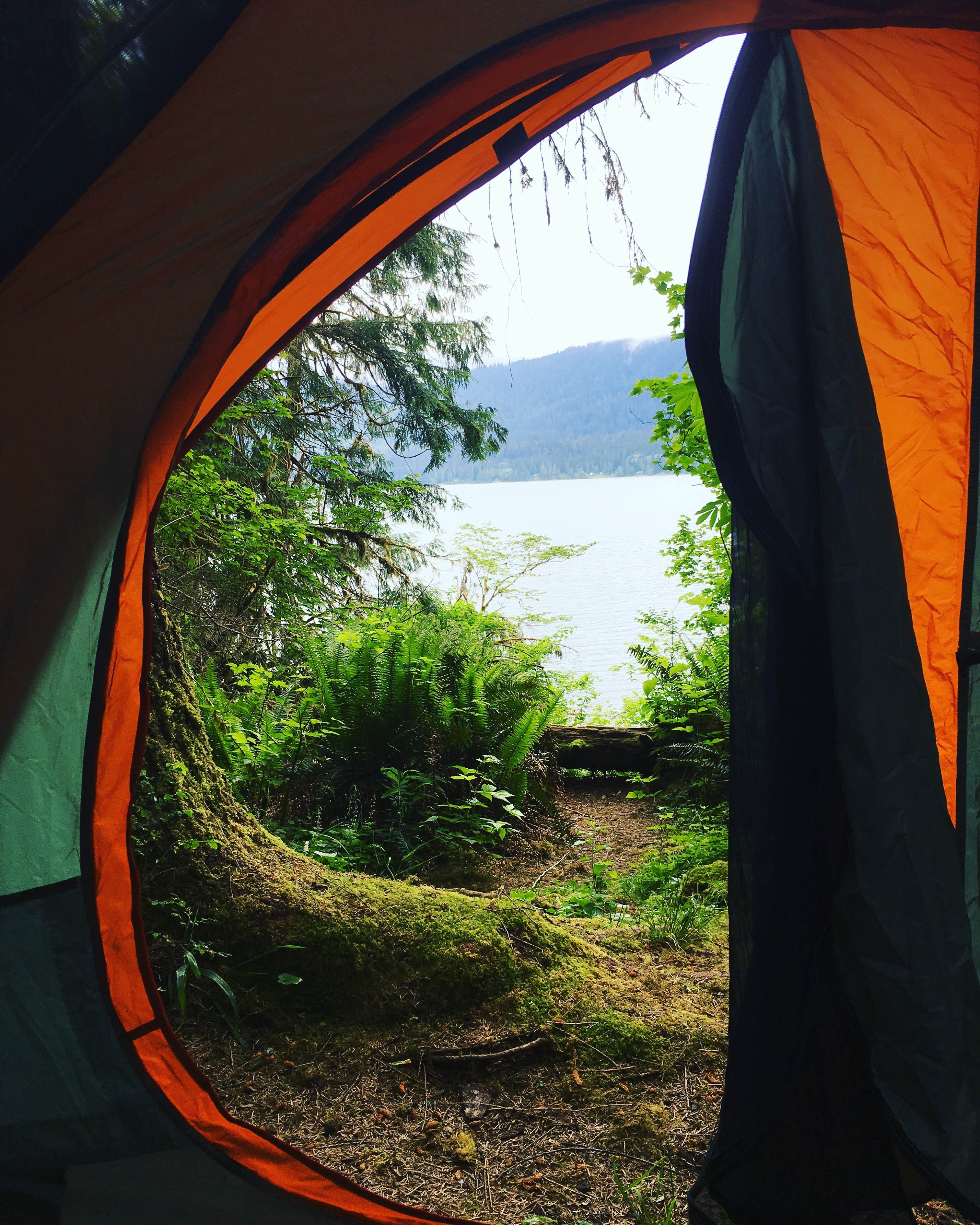 Kim B.'s photo of tent camping at Willaby Campground near Taholah, WA