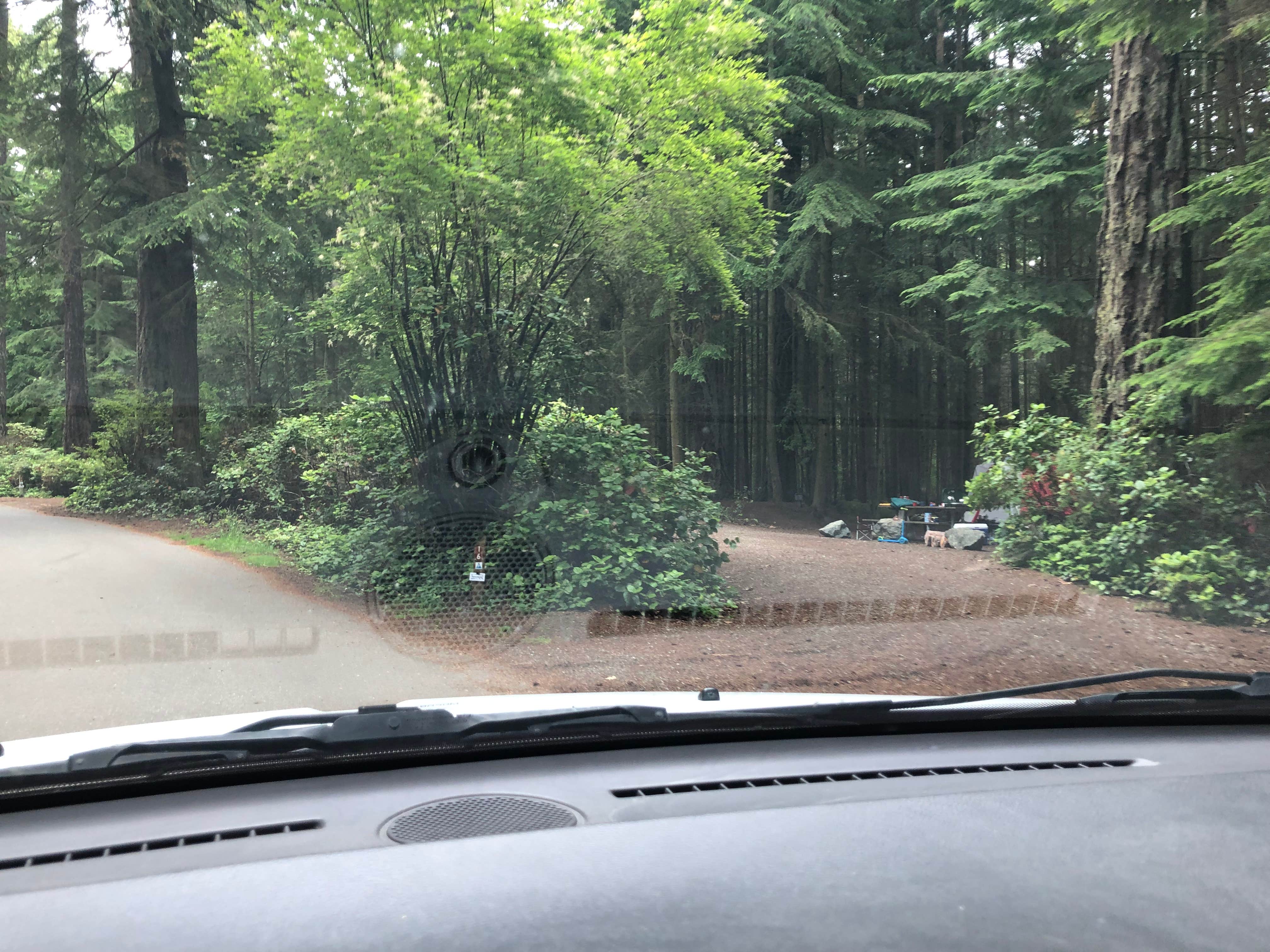 Camping near Beach Campground — Fort Worden Historical State Park: Rhododendron Campground, Coupeville, Washington