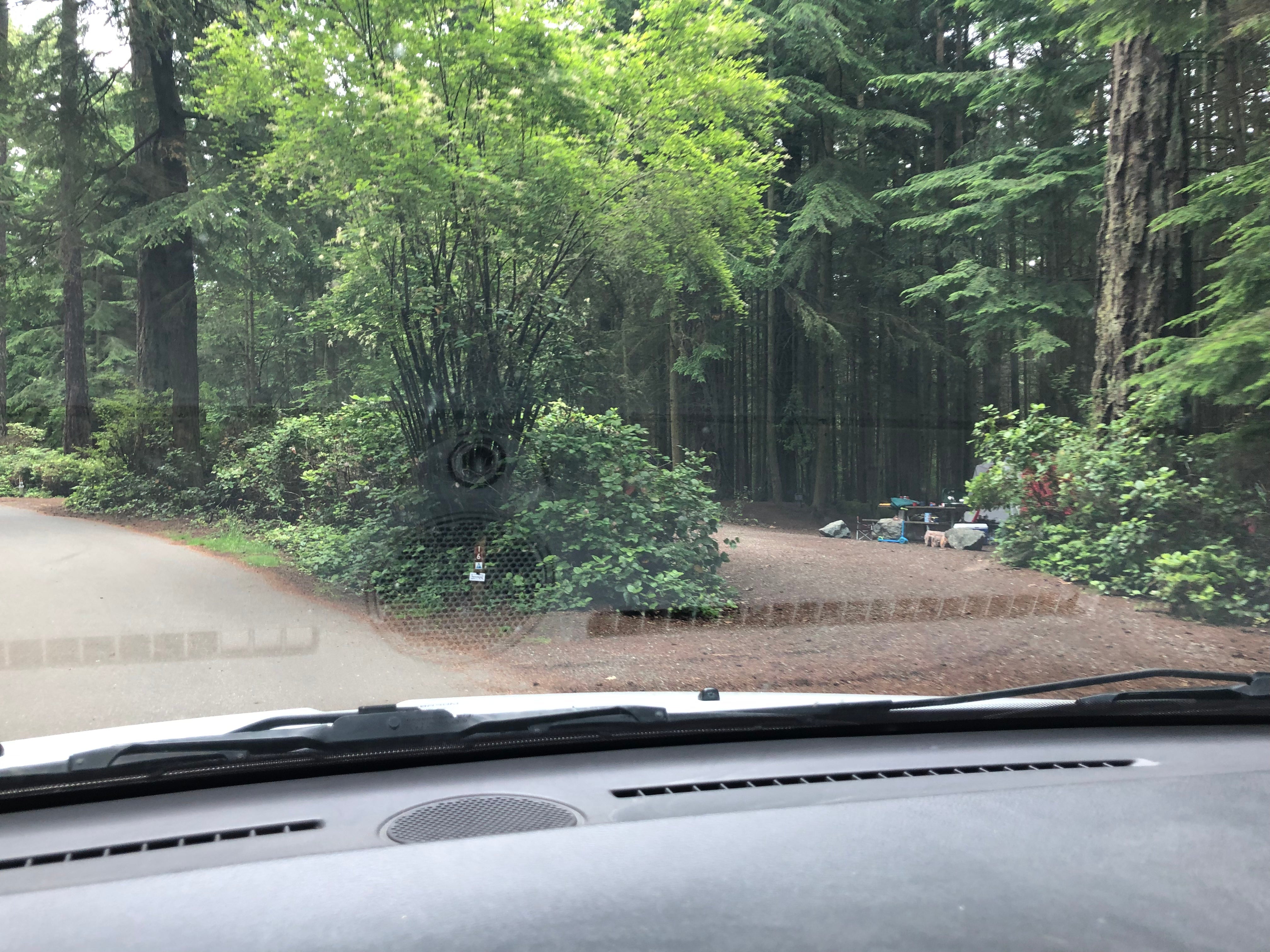 Camper submitted image from Rhododendron Campground - 1