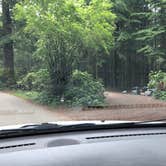 Review photo of Rhododendron Campground by allison W., July 8, 2022