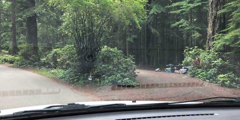 Camper submitted image from Rhododendron Campground