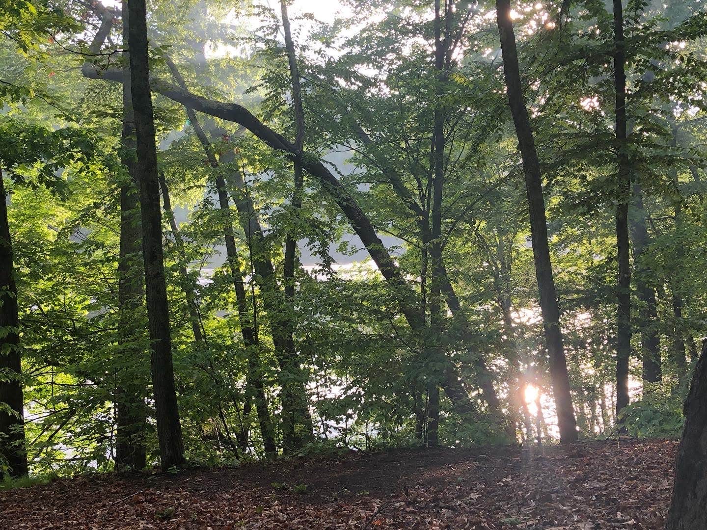 Camper-submitted photo at Kettletown State Park Campground near Greenwich, CT