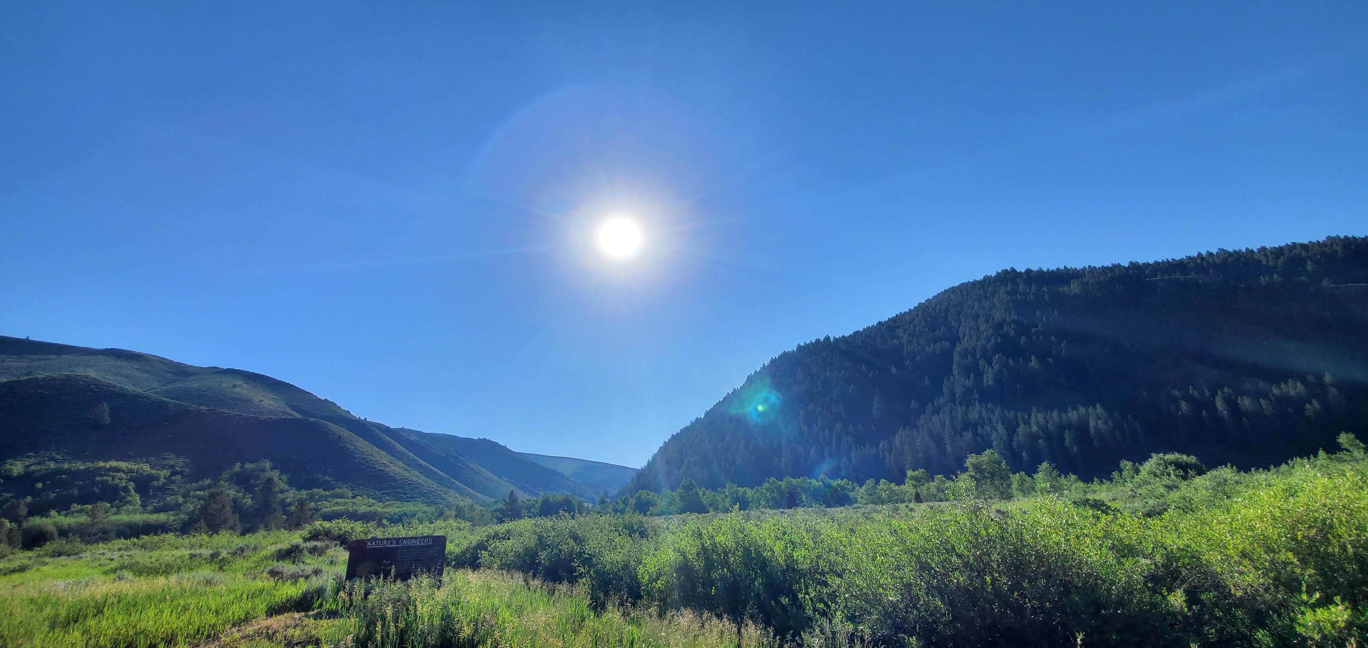 Camper-submitted photo at Allred Flat near Montpelier, ID