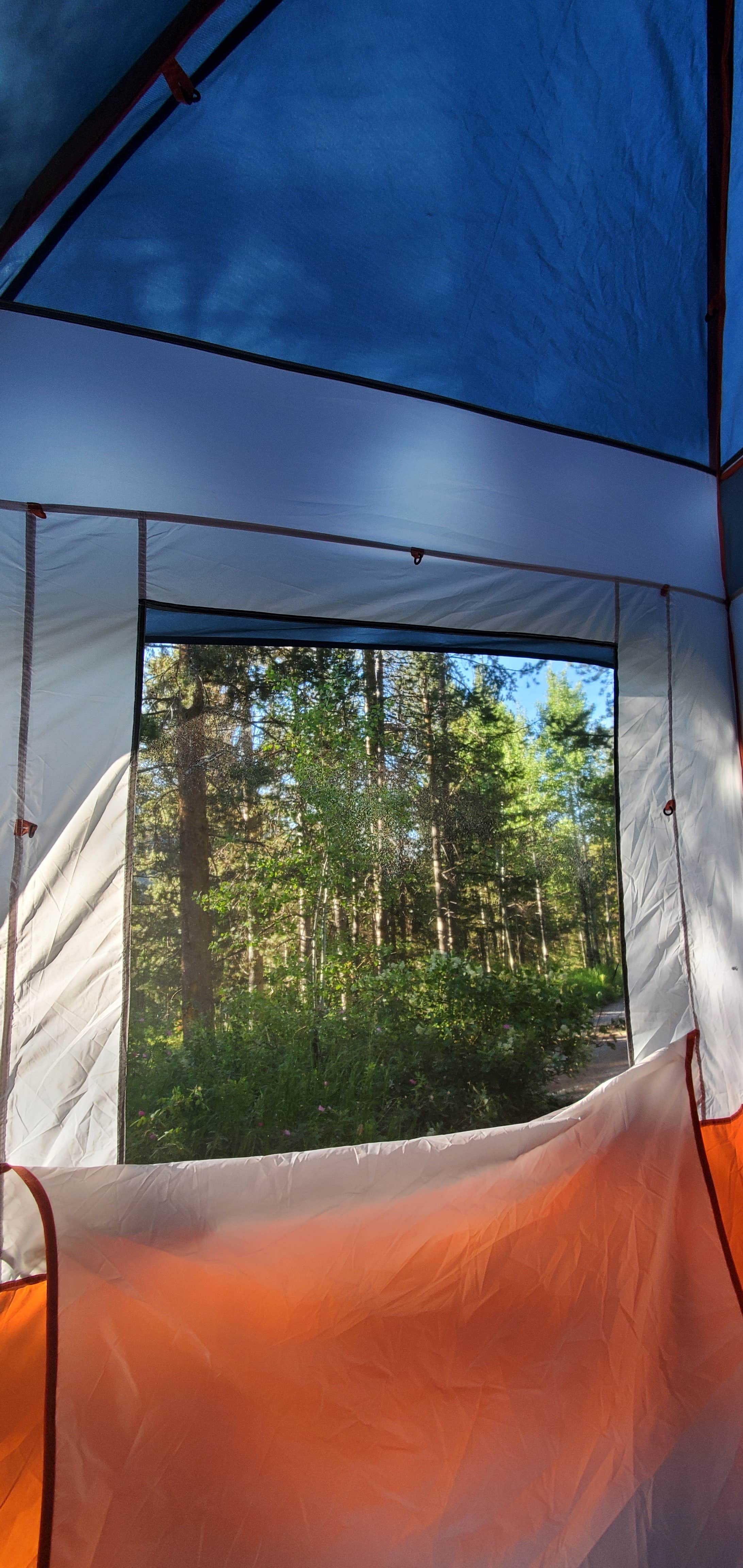 Allred Flat Camping Afton, WY