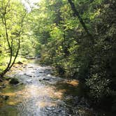 Review photo of Cades Cove Campground by Alyssa M., July 19, 2018
