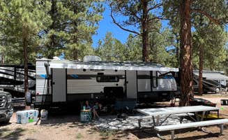 Laura P.'s photo at Peregrine Pines FamCamp near Colorado Springs, CO