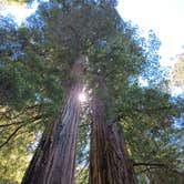 Review photo of Elk Country RV Resort & Campground by Pops A., July 11, 2022